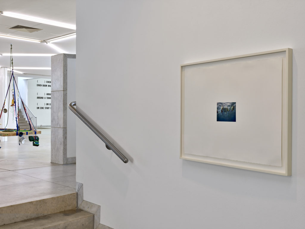 Florida, Part of North America’s Only Remaining Coral Barrier Reef (2007) 2009, graphite on paper; Charlotte Feng Ford Collection. Photo: Achim Kukulies